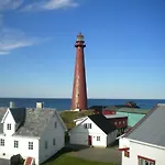 201 - Whale Safari * Andenes