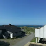 201 - Whale Safari