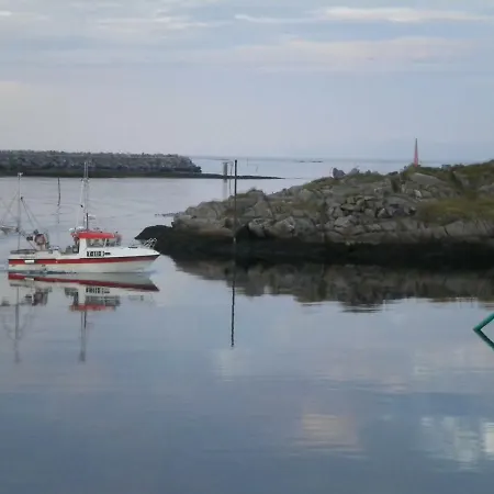 201 - Whale Safari Andenes