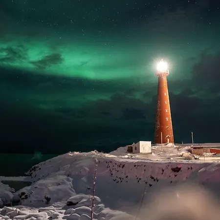 201 - Whale Safari Andenes