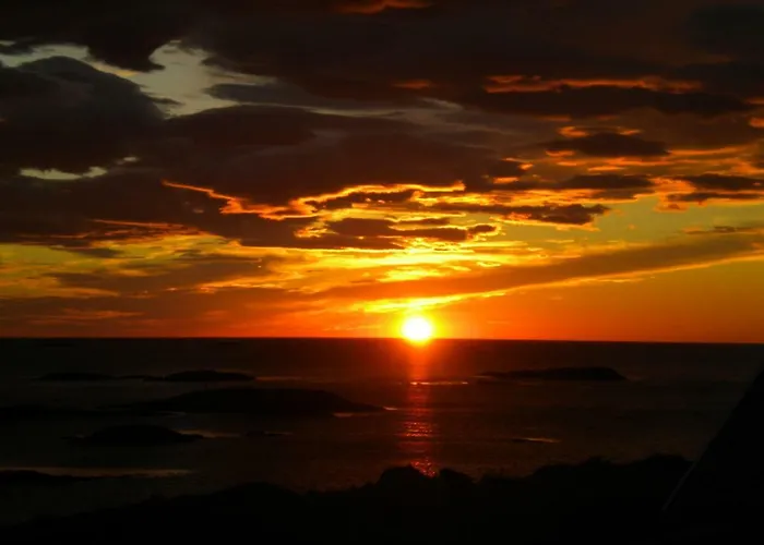 201 - Whale Safari Apartamento Andenes