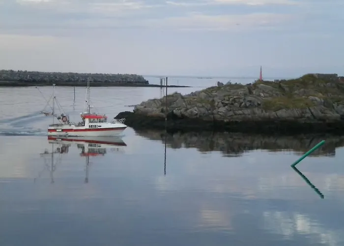 201 - Whale Safari Andenes