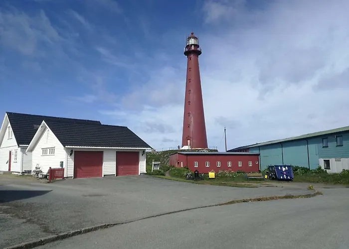 201 - Whale Safari Andenes