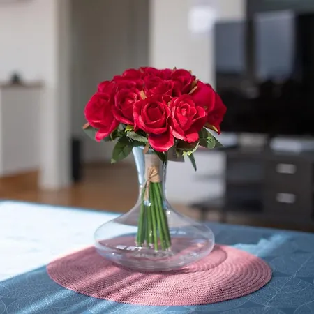 201 - Whale Safari 公寓 安德内斯