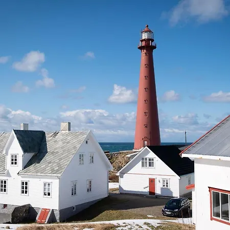 201 - Whale Safari 安德内斯