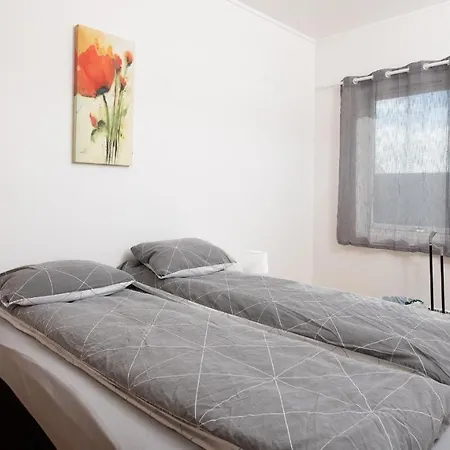 201 - Whale Safari * 安德内斯