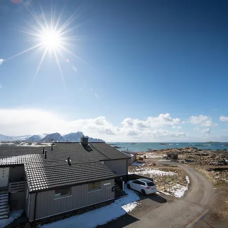 201 - Whale Safari * 安德内斯