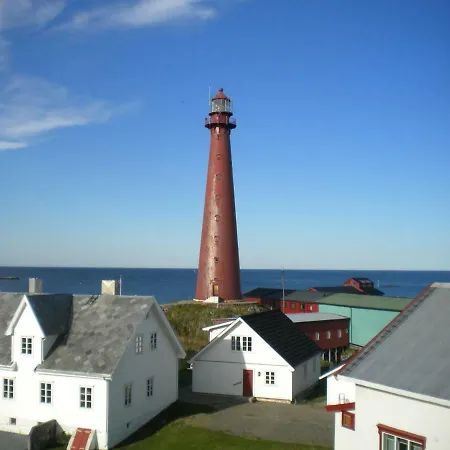 201 - Whale Safari * 安德内斯