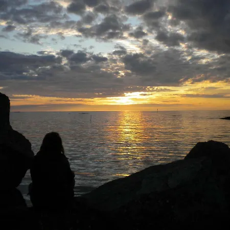 201 - Whale Safari 安德内斯