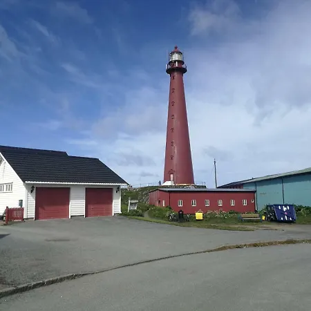 201 - Whale Safari 安德内斯